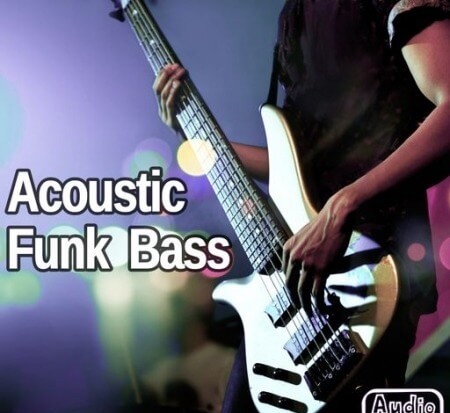 AudioFriend Acoustic Funk Bass WAV